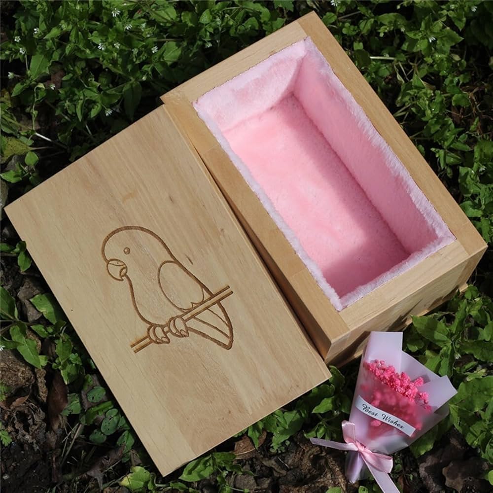 PETIT CERCUEIL BOIS Animal Chien Chat Small Wooden Coffin Animal Cat