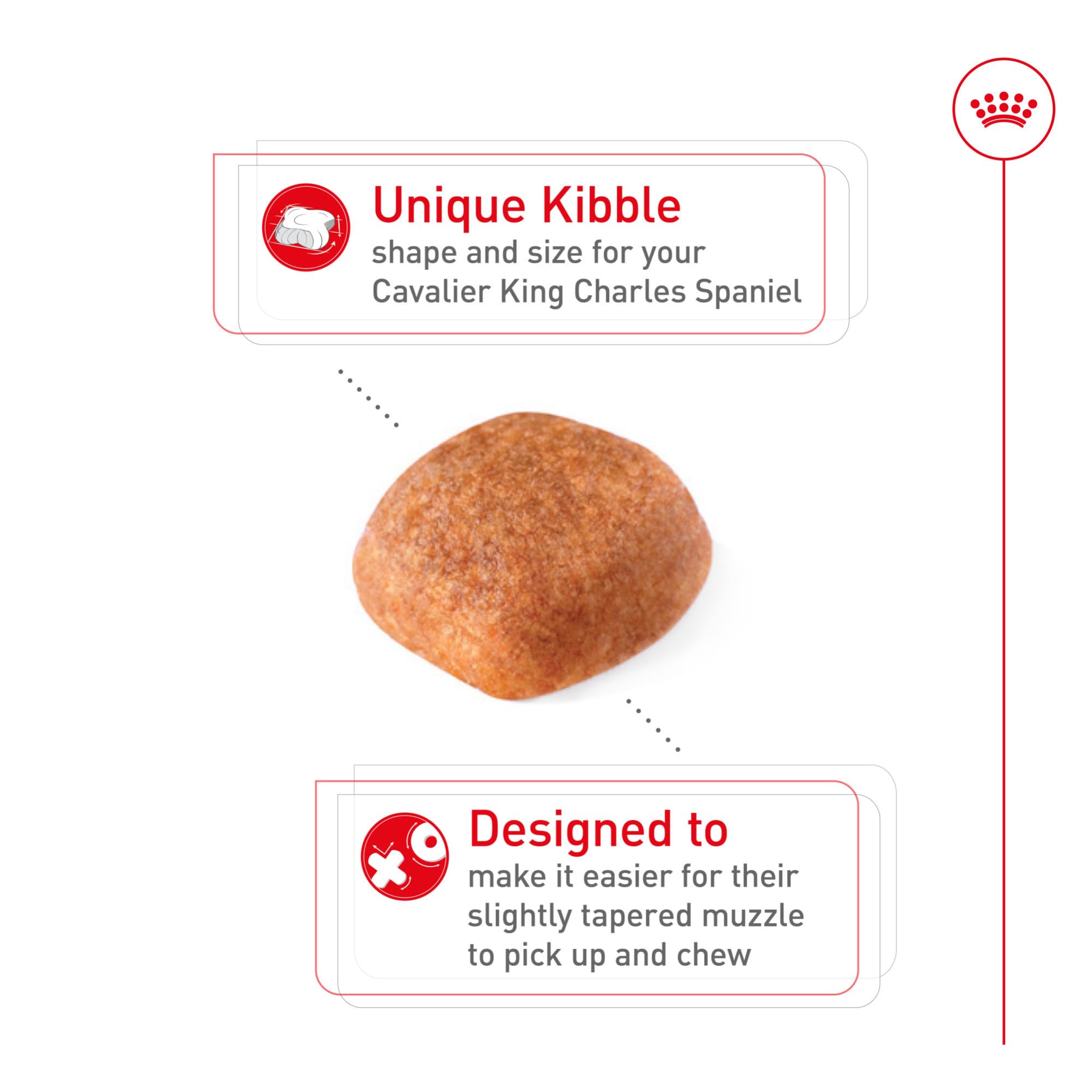 ROYAL CANIN Cavalier King Charles Adult Dry Dog Food 10 lb Bag | Heart Health Weigth Management Coat Health For Adult Cavalier King Charles Spaniel Specialized Kibble for Easy Pickup product thumbnail 4