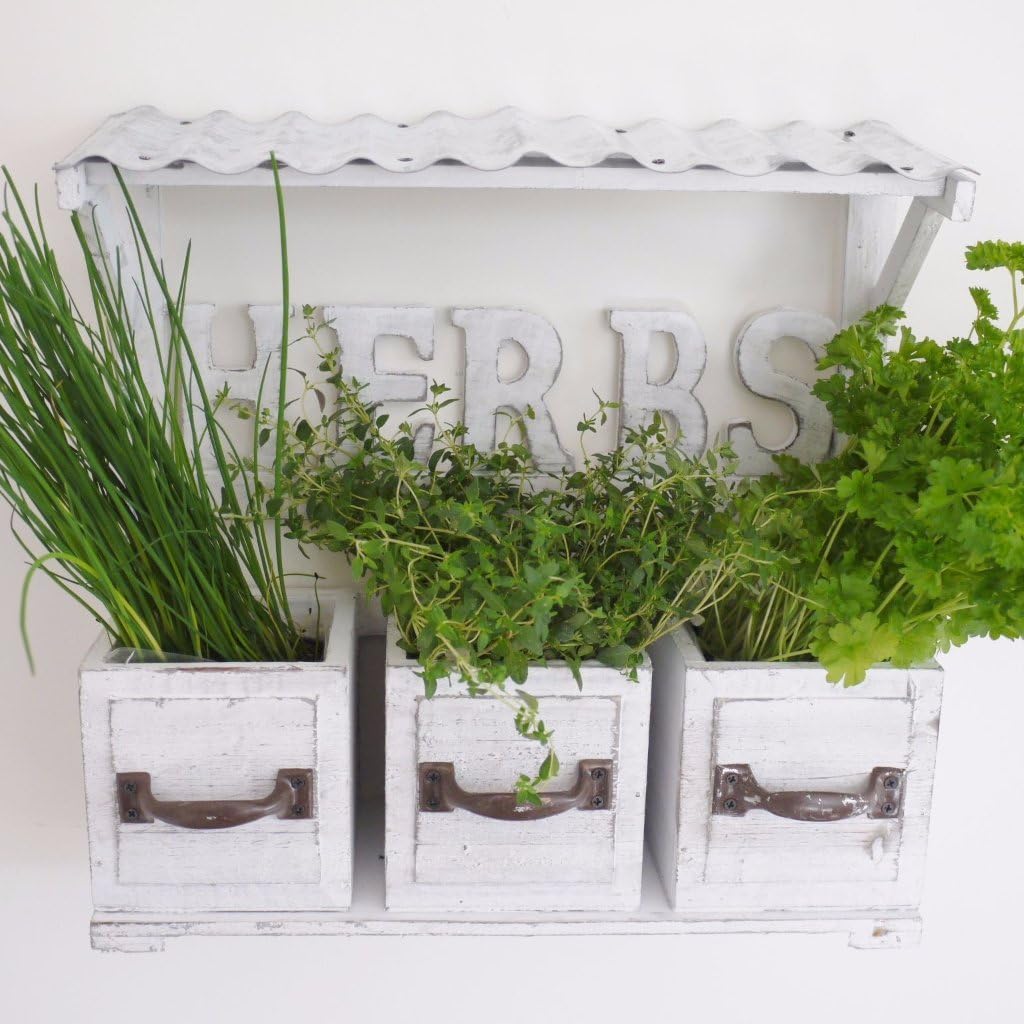 CitySales Wooden White Washed Vintage Shabby Chic Flower Herb Planter with Roof Wall Mounted or Free Standing