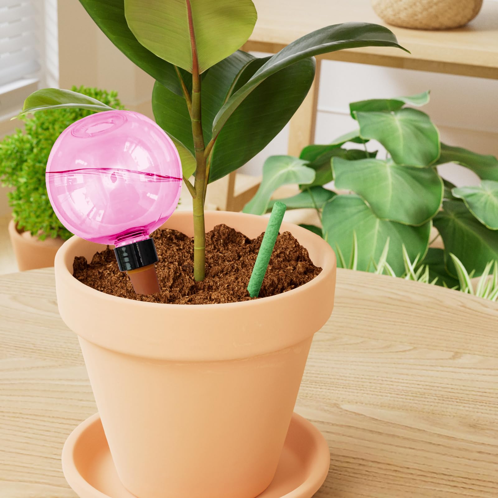 4 Stück Bewässerungskugeln für Pflanzen,Automatische Pflanzenbewässerung 500ml,sgeräte Bewässerungskugeln,Wasserspender Pflanze von Zimmer Balkon und Gartenpflanzen (Rosa, grün)