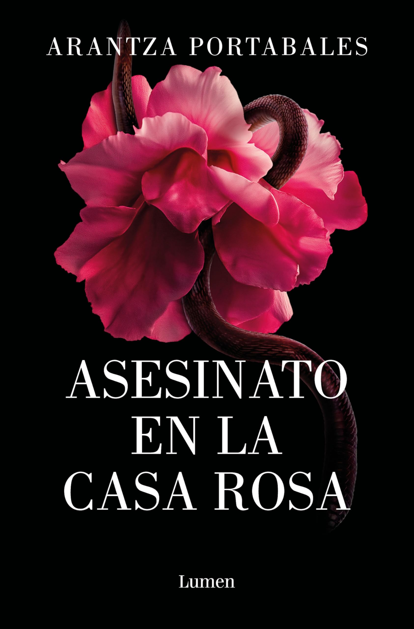 Asesinato En La Casa Rosa / Murder in the Pink House: 1 (Crímenes de Loeiro, Los)