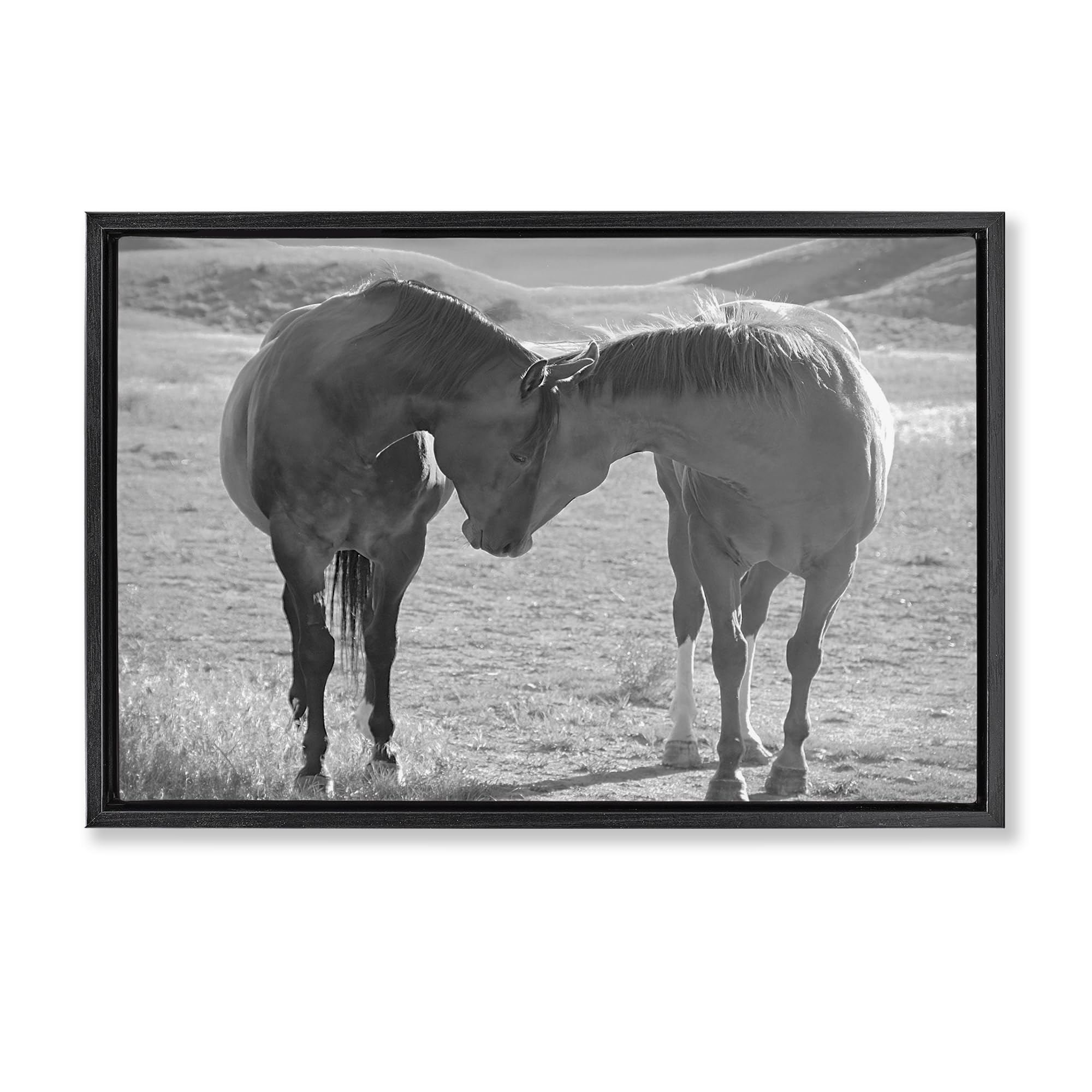 Stupell Industries Jet Black (Matte) 'Sweet Nothings Bond Between Horses'| Floating Frame Canvas Art