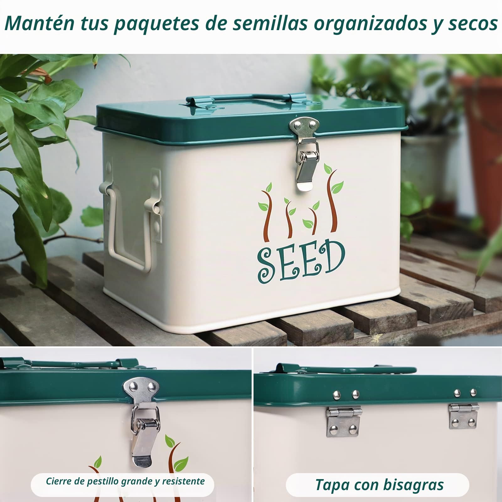 webake Contenedor para semillas con tapa y paredes divisorias, 22,5 x 17 x 15,5 cm