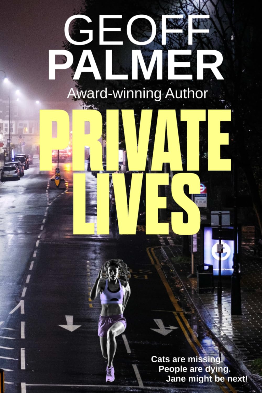 Buy Private Lives: 2 (Bluebelle Investigations) — BookShops.in