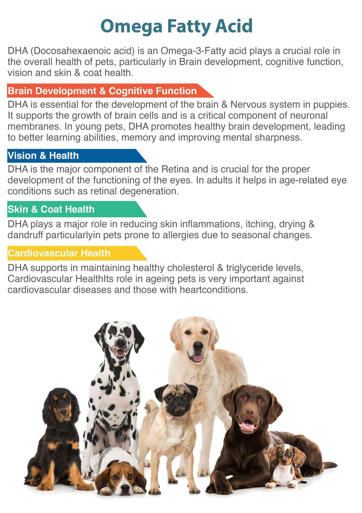 Doggie Power - Protein Powder with 8 Essential Amino acids | 14 Vitamins and Minerals for Dog | Ever 4