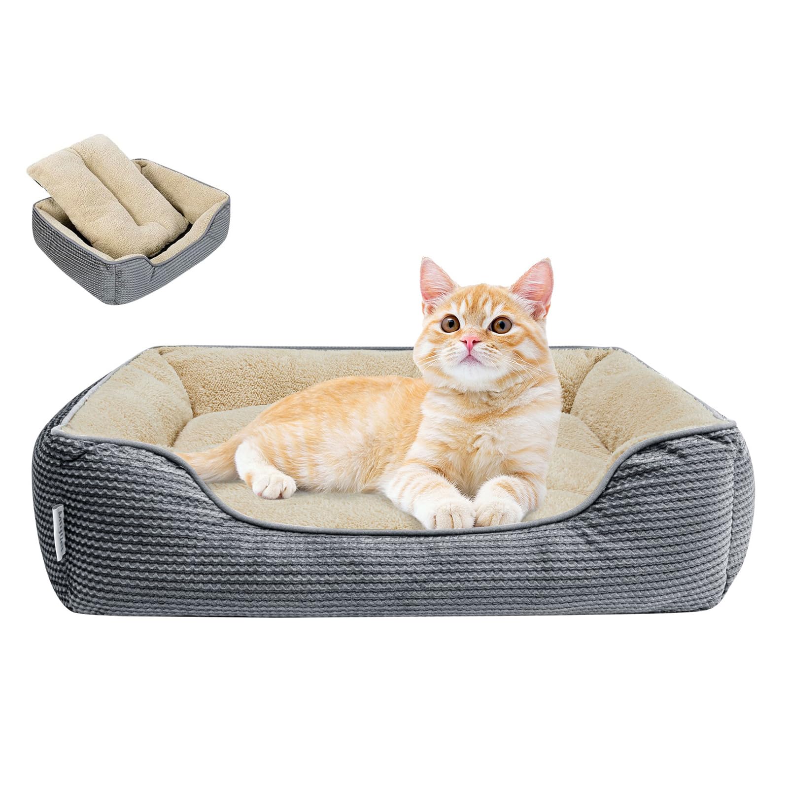Miguel Camas Lavables para Gatos de Interior con cojín extraíble, Cama para Perros pequeños con Lateral, Cama Rectangular Grande para Gatitos con Fondo Antideslizante, Gris 51cm