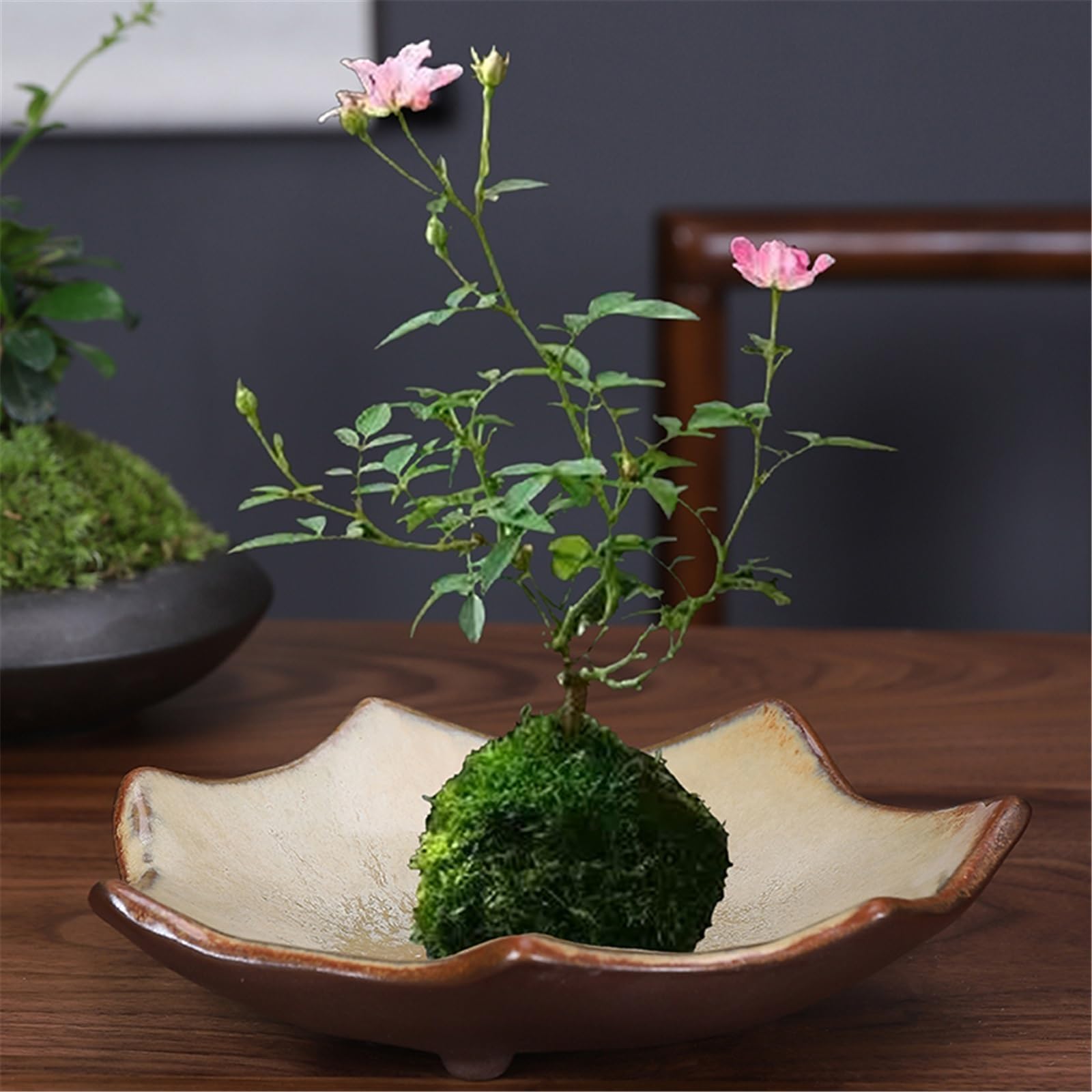 Sottovasi per Fiori Piattino da Fiori Tavolo in Ceramica con Vassoio for vasi Vaso