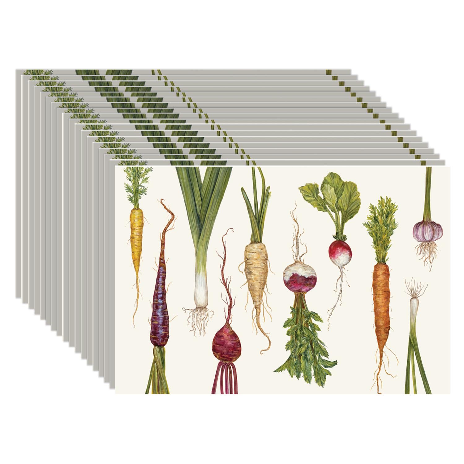 Hester and Cook Hester & Cook Papier Platzdeckchen, Pad von 30 - Naturbauernmarkt Mehrfarbig
