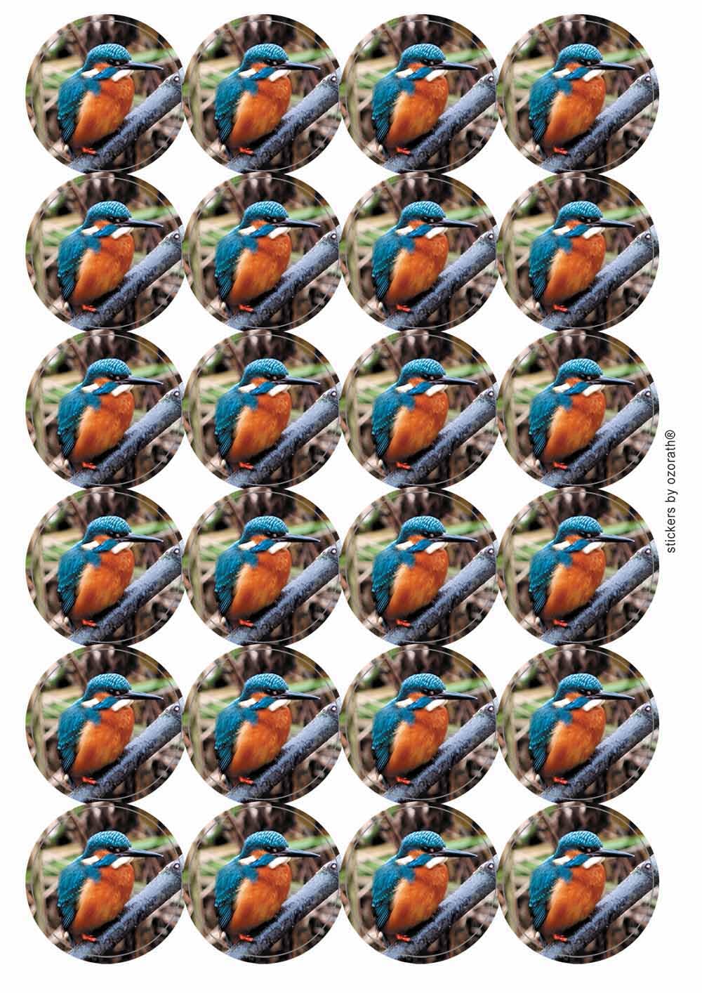 Kingfisher Circular Matt Paper Stickers A4 Sheet of 24 (Each Sticker is 45mm Diameter)