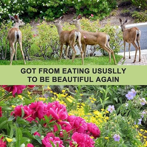 Miniatura 5 de ANEWNICE Repelente de ciervos, repelente de ciervos para plantas, repelente de ciervos y conejos, disuasorio de ciervos para patio, tapón de