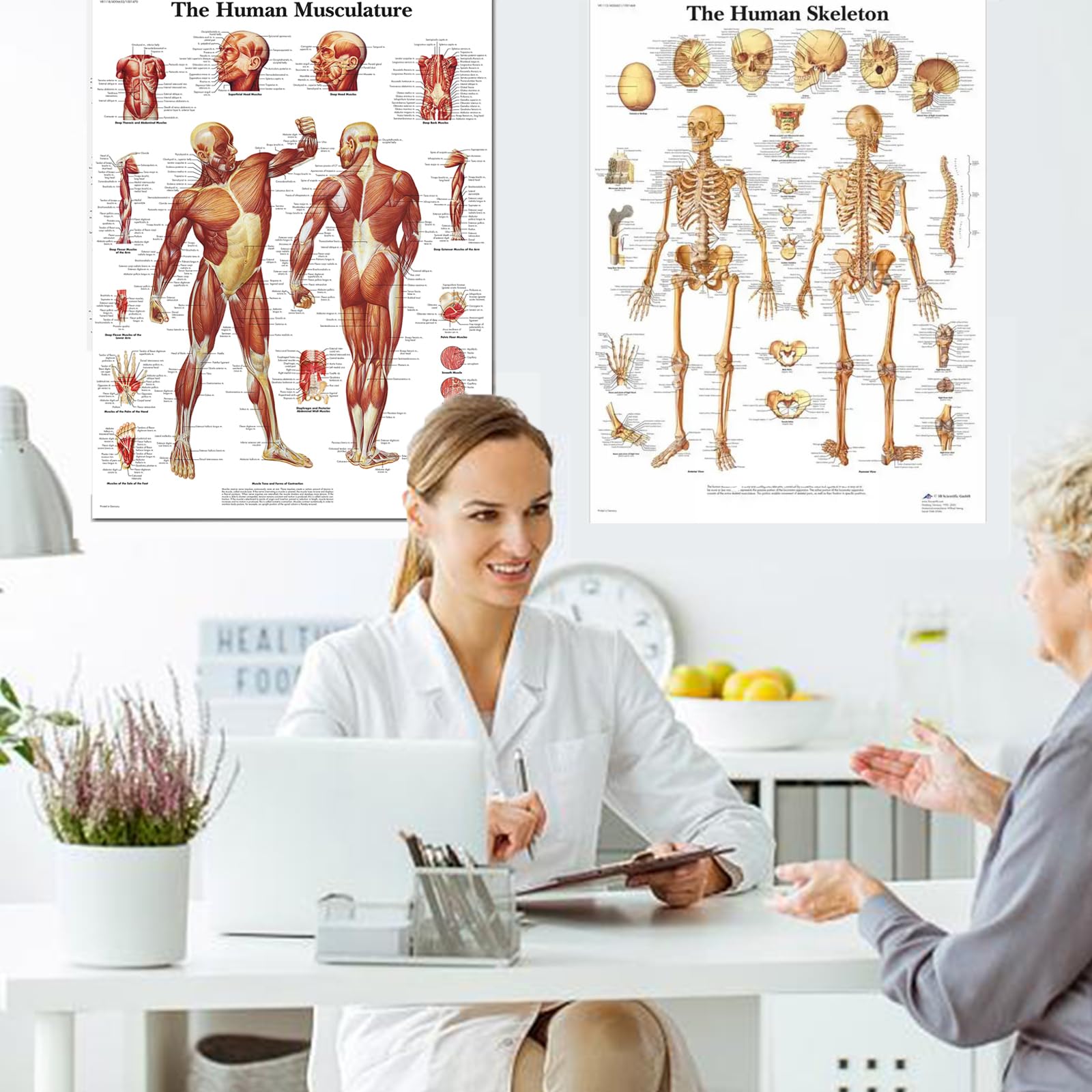 Gyiocill Poster Anatomie Squelettique, Tableau D'anatomie Musculaire, Scientific Humain Imprimé sur Papier, Learning Lot de 2 posters Anatomiques, Tissu en Soie, 60 x 90 cm(Version Anglaise)