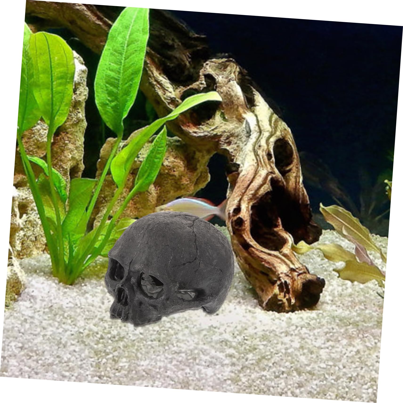 Cabilock 4 Piezas Adornos De Resina De Calavera. Ocultación Decoraciones De La Cueva del Tanque De Peces Decorativo Terrario De Piel De Reptil Decoración Esqueleto para Falso Black