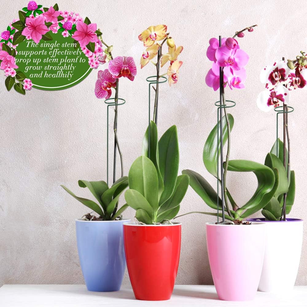 Best Deal 🛒 LEOBRO 4 Pack Plant Support Stakes, Garden Single Stem Flower Plant Support, Plant Cage Support Ring, Plant Sticks, Plant Stakes for Indoor Plants Amaryllis Orchid Peony Tomato Flower, 40CM/15.8INCH