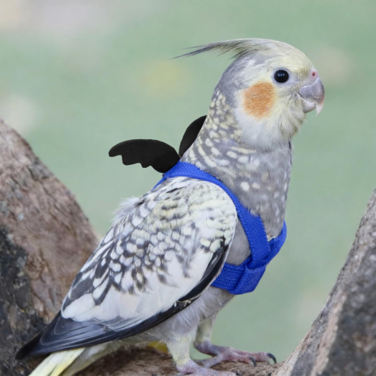 Imbracatura per pappagallo regolabile per animali domestici e uccelli guinzaglio per attività all'aria aperta corda da addestramento cinghia elastica anti-morso per pappagalli cacatos ara