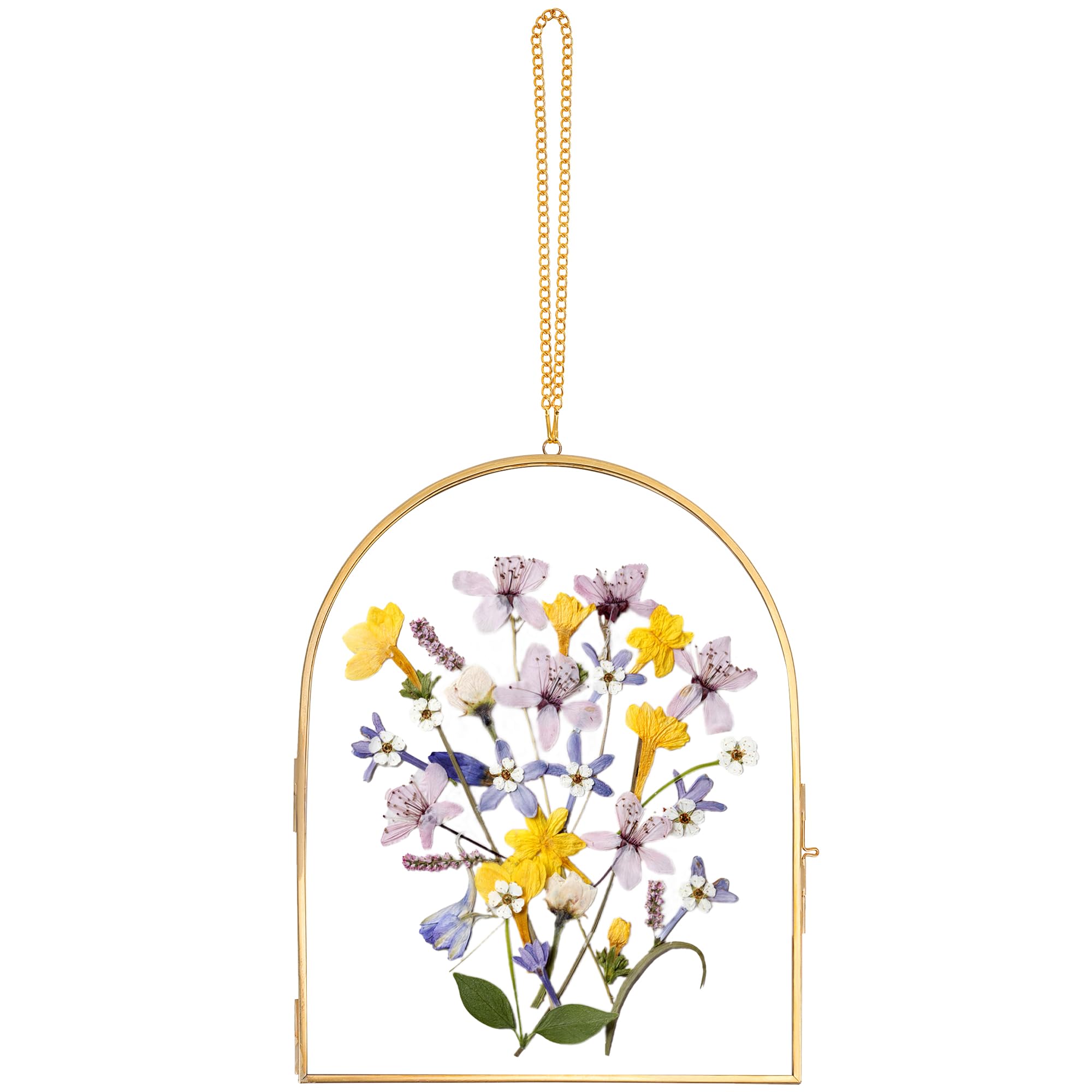 REDHUGOGlass Pressed Flower Frame Handmade, Glass Frame For Pressed Flowers, Wall Hanging Floating Frame, Unique Double Glass Picture Frame for Dried Flowers Poster Home Decor, ArcShaped