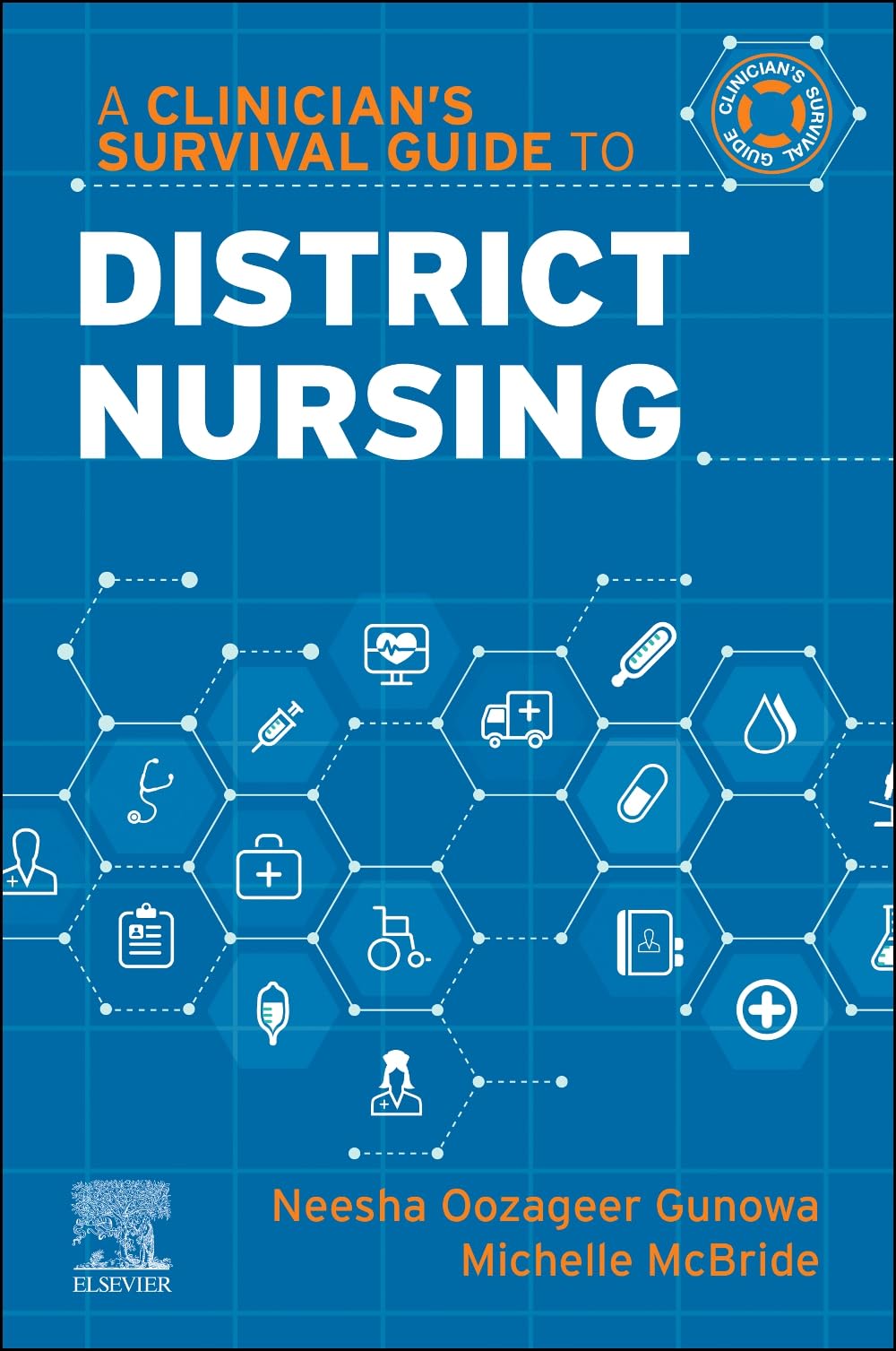 A Clinician's Survival Guide to District Nursing (A Nurse's Survival Guide)