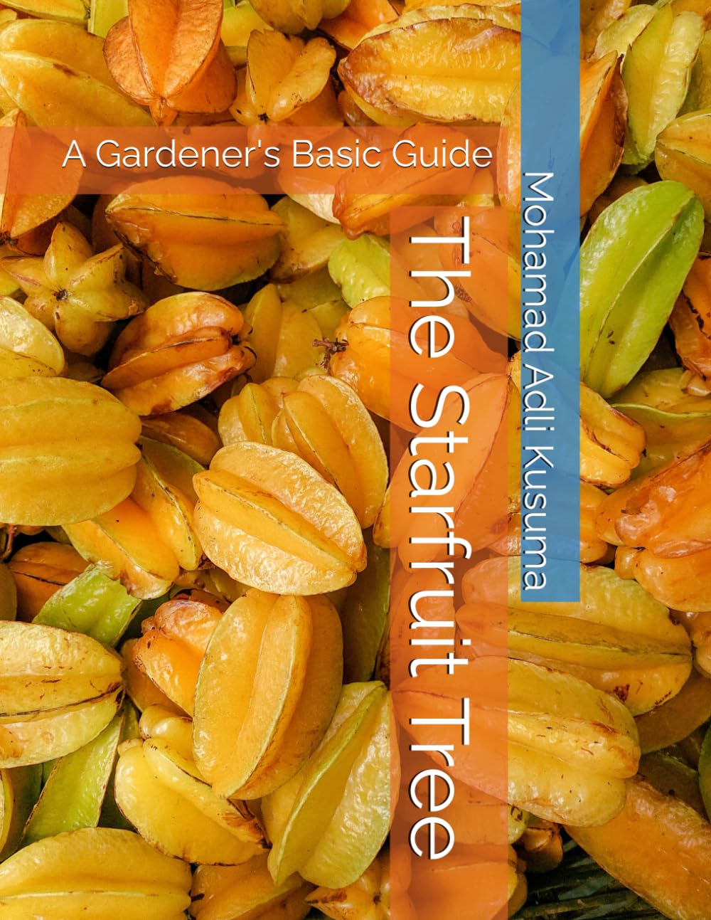 The Starfruit Tree: A Gardener's Basic Guide