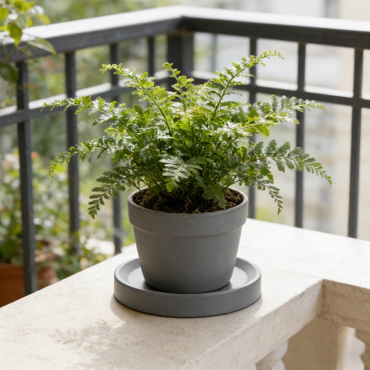 DOITOOL Support Pot De Fleur à roulettes Invisibles - Plateau Roulant avec Soucoupe IntéGréE - Socle Chariot Gris Noir pour ExtéRieur Et IntéRieur - Repose Plante Lourd Base Mobile