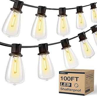 addlon 100FT LED Outdoor String Lights with Remote Waterproof Patio Lights with Shatterproof ST38 Replaceable Bulbs, Dimmable Outside Hanging Light Connectable for Porch, Backyard, 2200K