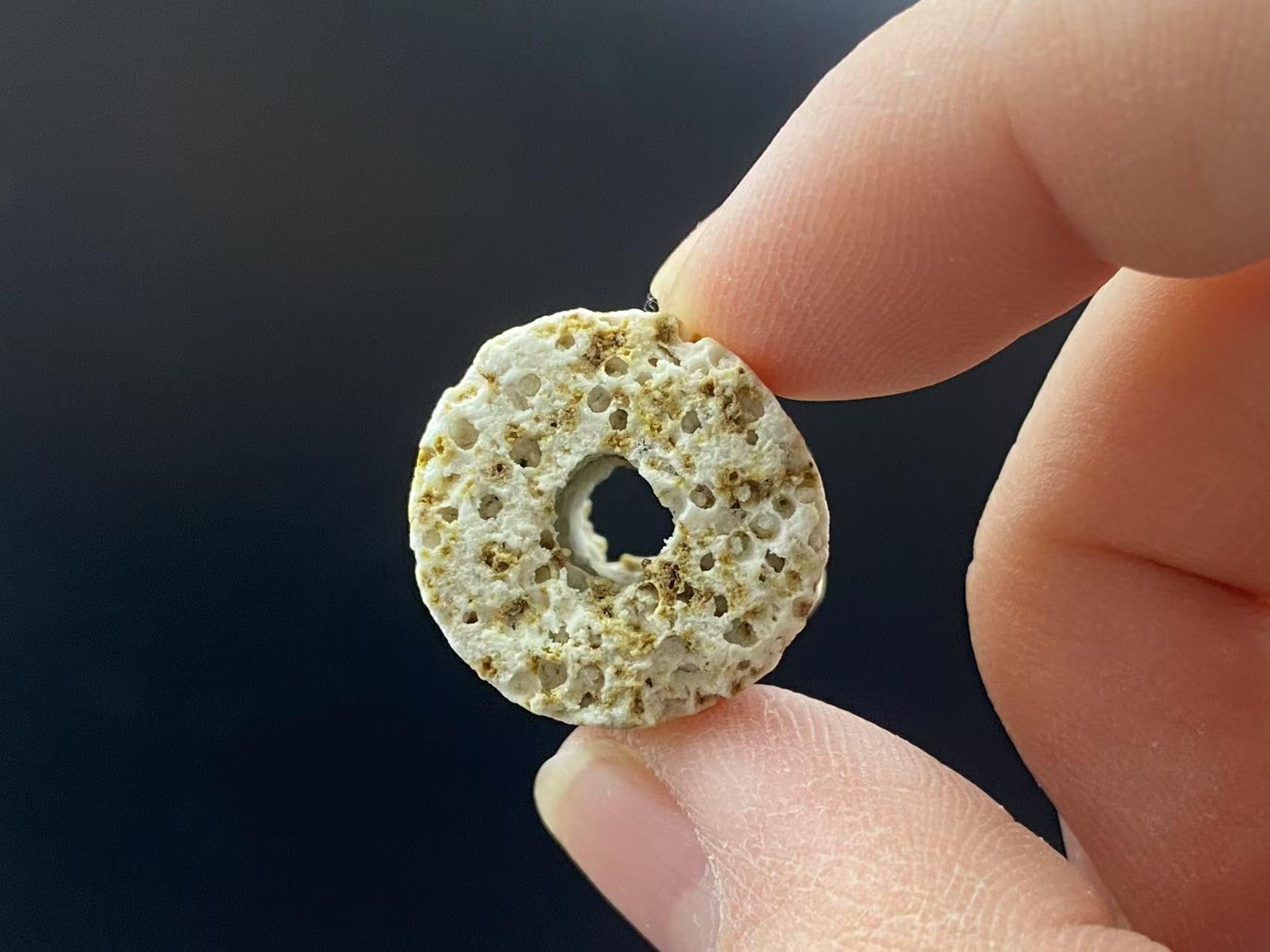 Amazon | 1kg 多孔質納豆菌入りパワーリングろ材 | ノーブランド品