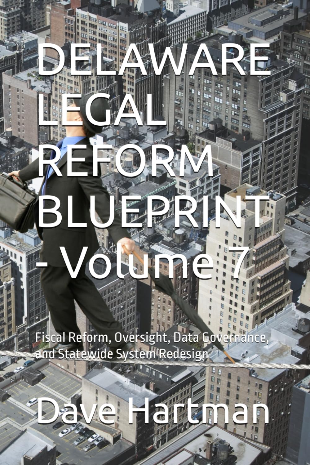 DELAWARE LEGAL REFORM BLUEPRINT - Volume 7: Fiscal Reform, Oversight, Data Governance, and Statewide System Redesign: 9 (Delaware Legal Reform Series)