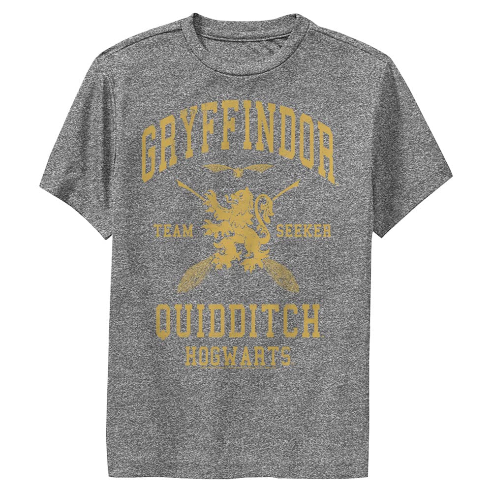 Warner Brosunisex-child Gryffindor Quidditch Seeker T-Shirt