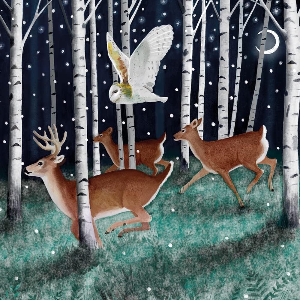 Museums & Galleries Charity Christmas Cards Pack of 20, Assorted Designs, Woodland Animals, 5 x 4 Winter Wildlife Designs - Image 3