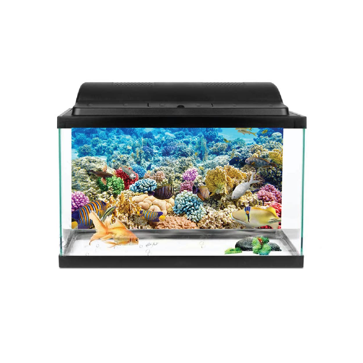 VVWV® Sea Plants Aquarium Background Stickers for Fish Tank Waterproof Vinyl Printed Multicolored Sticker (61 X 41 CMS) (B0BWFF2JMC) Amazon Price History, Amazon Price Tracker