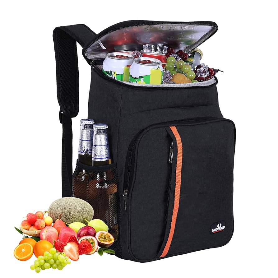 23L Zaino termico frigo, borsa frigo termica Porta Pranzo Zaino frigo  termico portatile,mantiene il cibo caldo o freddo, gita di un giorno al  parco, picnic, barbecue, eventi : Amazon.it: Casa e cucina