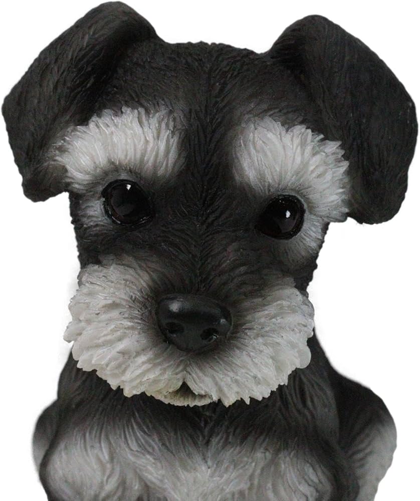 71yYMmJz-WL._AC_UF894,