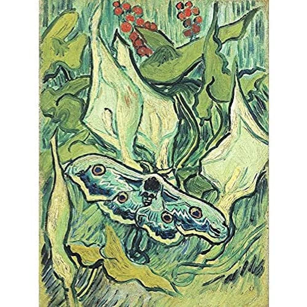 Vincent Van Gogh Emperor Moth Unframed Wall Art Print Poster Home Decor Premium