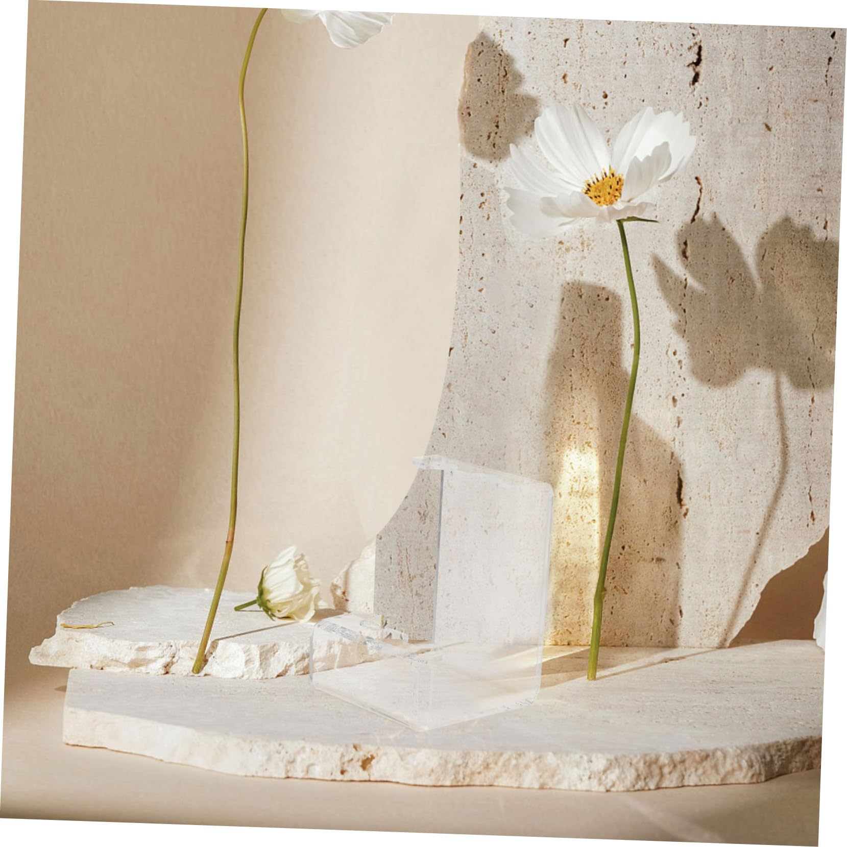 Générique Porte-stylos Transparent, 30-Emplacements Support D'Affichage