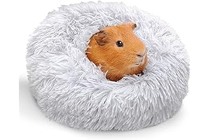Paw Inspired Burrowing Hideout for Guinea Pigs