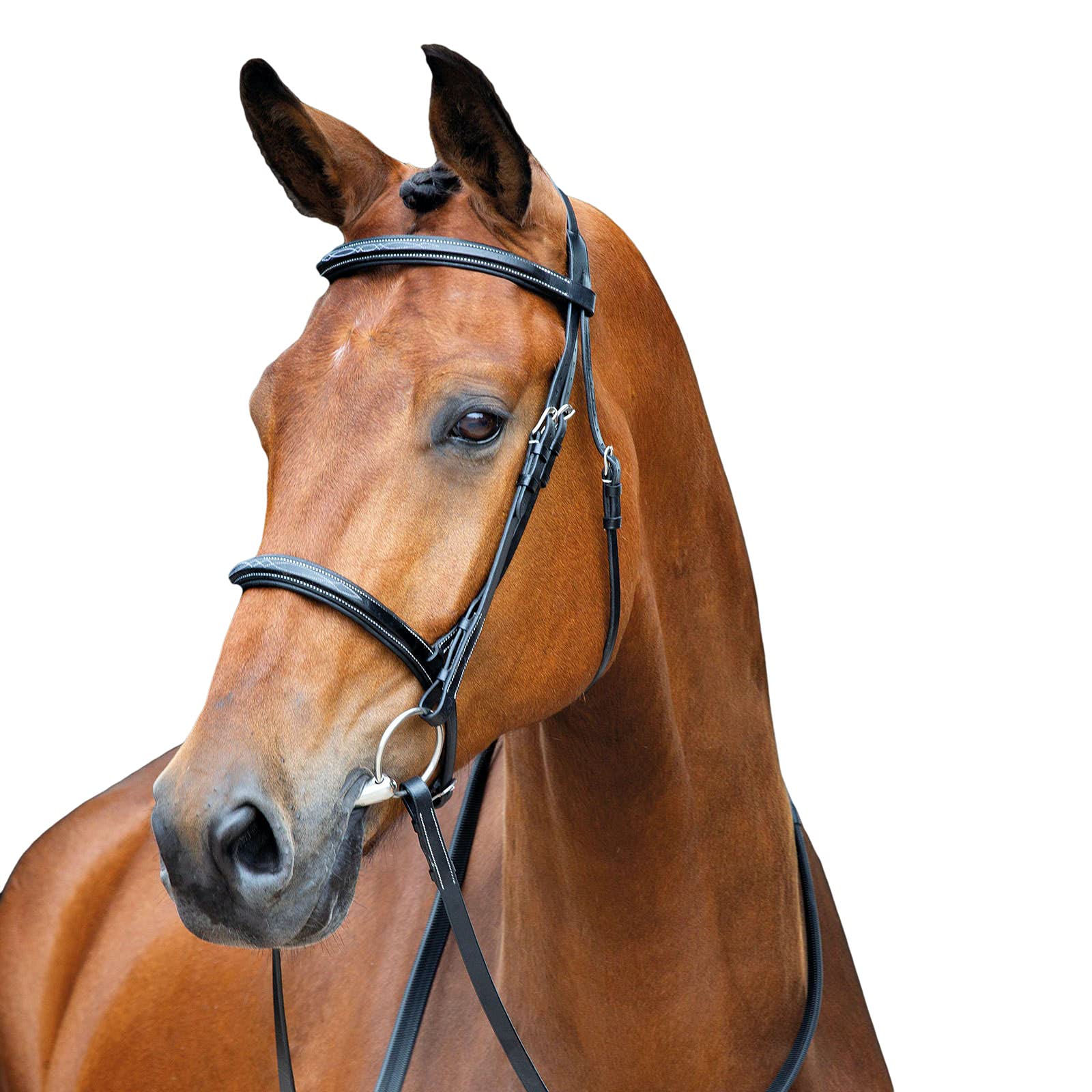 Shires Salisbury Fairford Bridle in Black Pony, Black