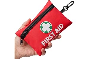 Mini Traveling Cleaning Kit