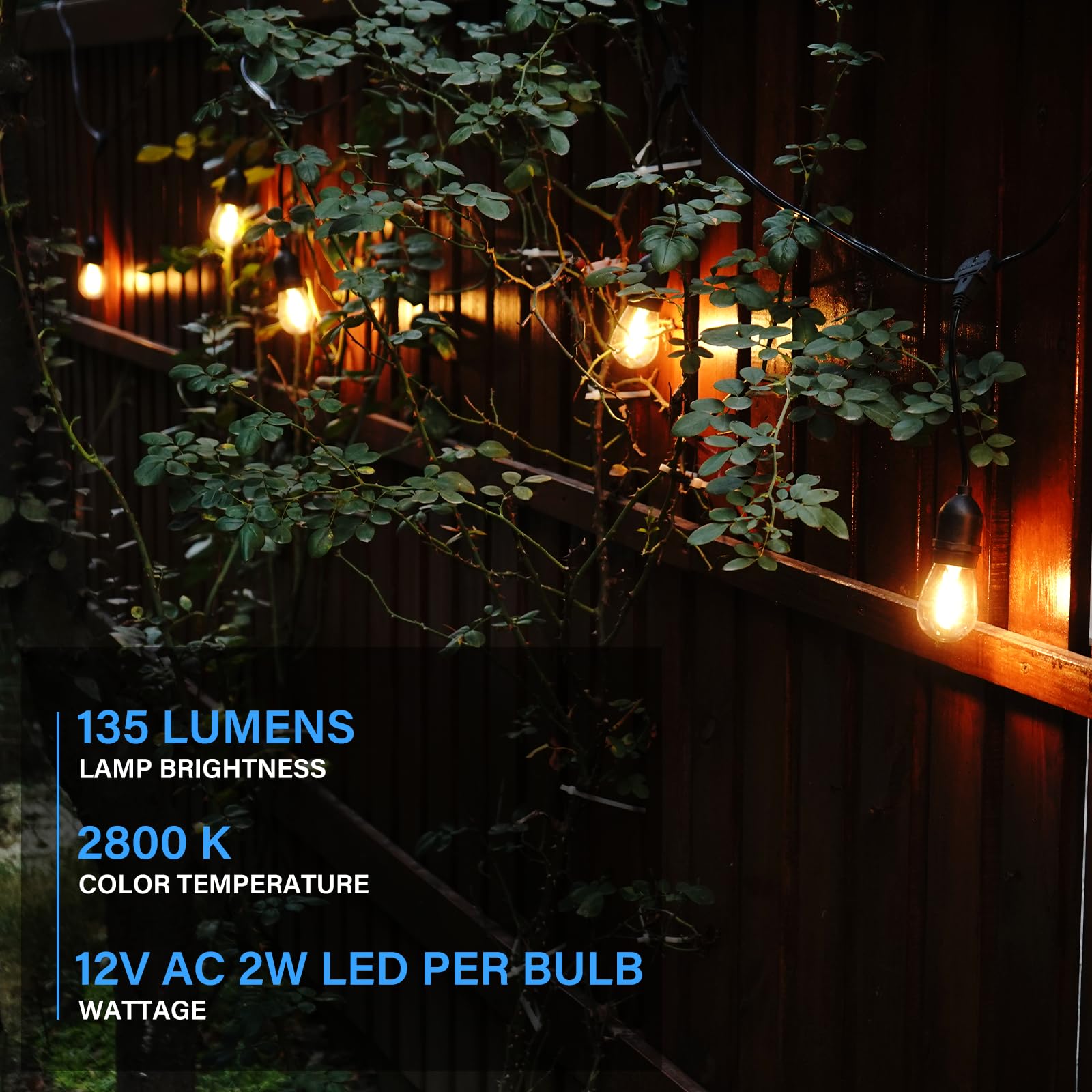 GOODSMANN Cadena de luces LED de bajo voltaje para exteriores, 12 V CA, 10 bombillas colgantes para iluminación de paisaje, cadena de luz de 50 pies, luces decorativas resistentes a la intemperie