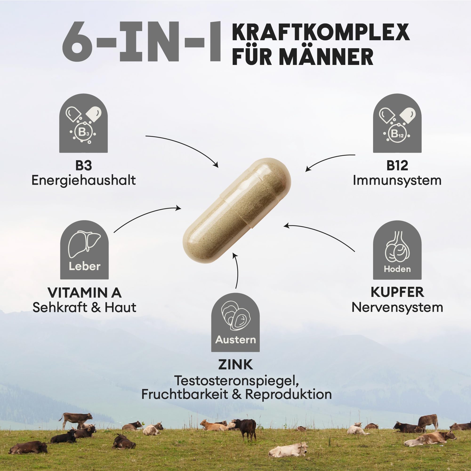 Nutriest Rinderhoden & Austernextrakt Kapseln (240 Stück) – Beef Testicles Supplement | Bio-Weiderind aus Europa | 100% EU-Weidehaltung | Energie, Muskelaufbau & Testosteronspiegel