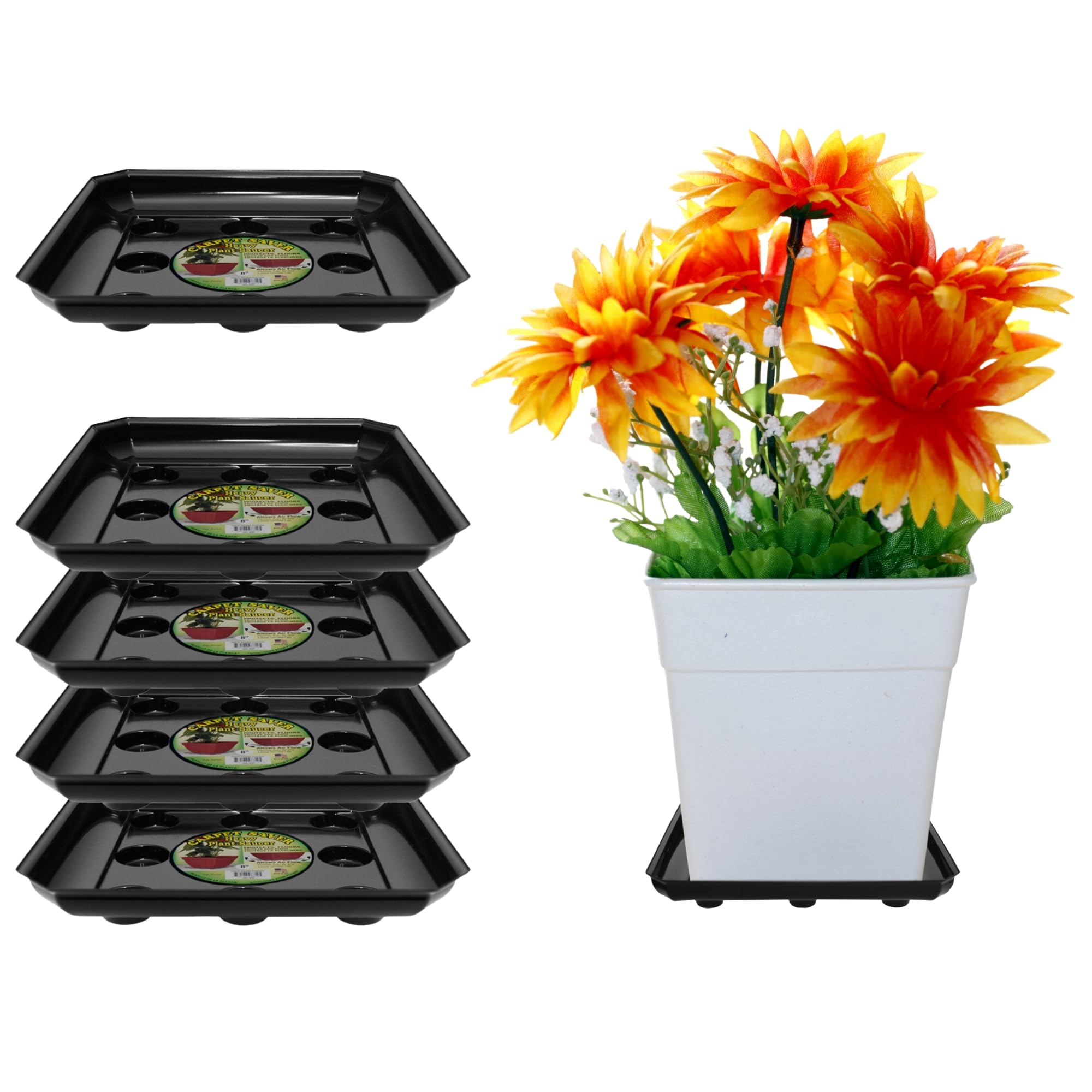 Curtis Wagner Plastics - Platillo para plantas (5 unidades), color negro, cuadrado (diámetro de 14,6 cm, base de 8 pulgadas, parte superior, 4 cm de profundidad)