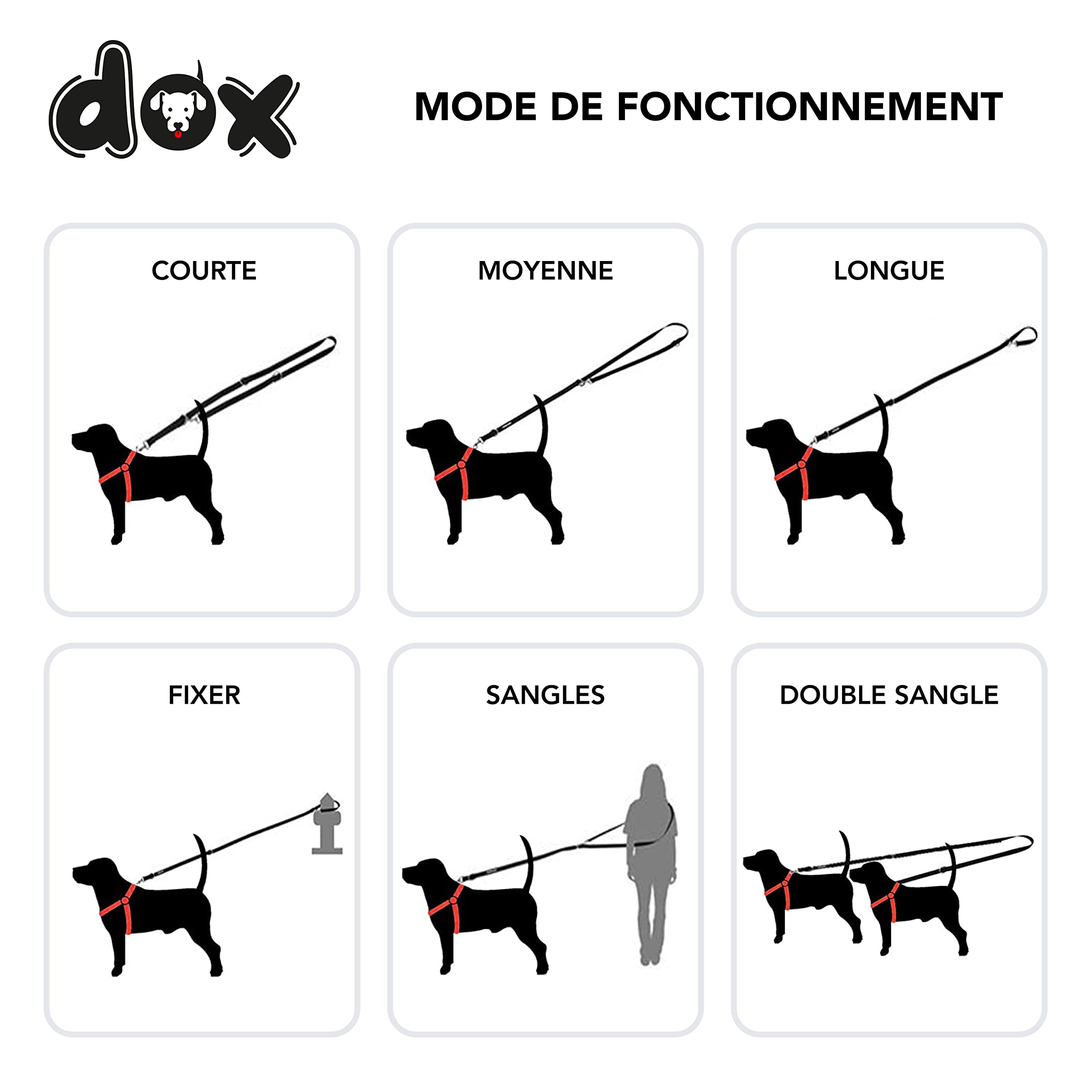 DDOXX Laisse Chien Nylon Réfléchissante, Réglable en 3 Position, 2 m | Nombreuses Couleurs & Tailles | pour Petit, Moyen Gros & Grand | Double laisses Ajustable Chat Chiot | M, Noir, 2m