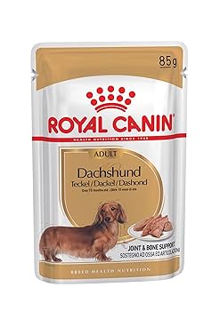 85g×48個 ロイヤルカナン ダックスフンド 成犬〜高齢犬用 ウェットフード② ロイヤルカナン ダックスフンド ウェット 成犬～高齢犬用 (生後