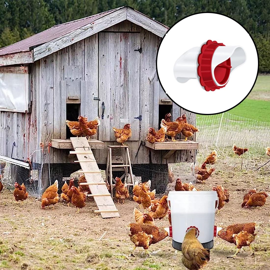 Poulies Pour Porte Automatique Pour Volailles, Kit De 4