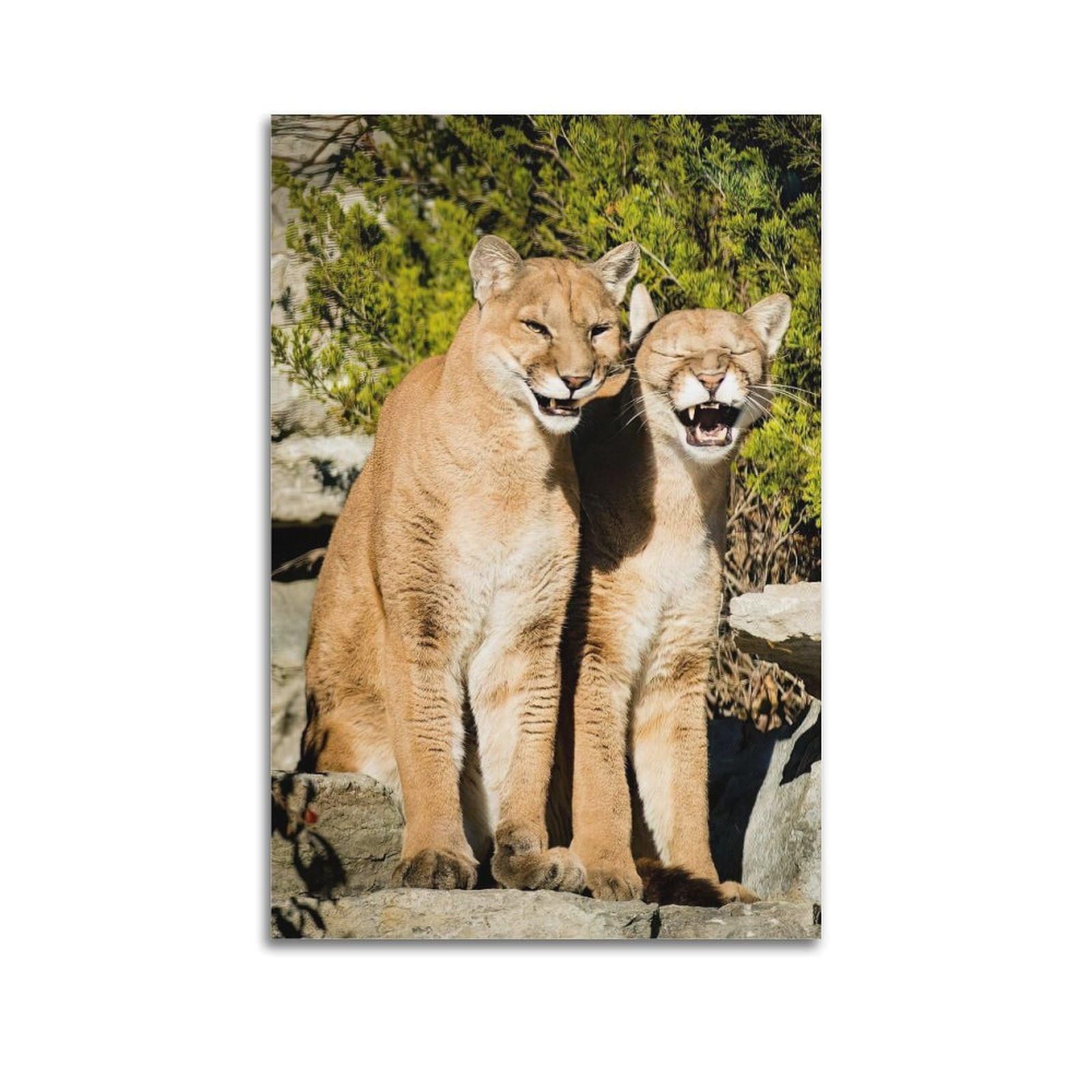XKUGA Wild Felines Poster Cougar Big Cat Habitat Modern Decorative Canvas Prints - Ideal Wall Art for Family, Man Cave, Game Room, Boys & Girls Bedroom 20x30inch(50x75cm)