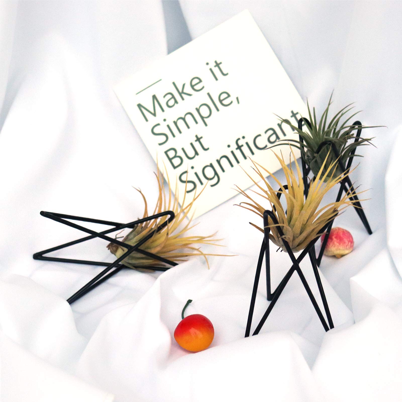 Tillandsia Air Plant Hanger In Metallo Nero - Set Di 6 Portapiante Geometrici Himmeli - 3