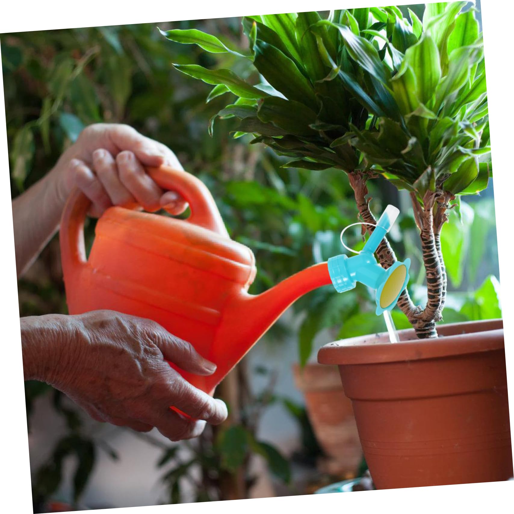Bocchetta Irrigazione Plastico 5 Pezzi per Piante e Fiori Distribuzione Uniforme Acqua Risparmio Lavoro per Annaffiatura Giardino Famiglia