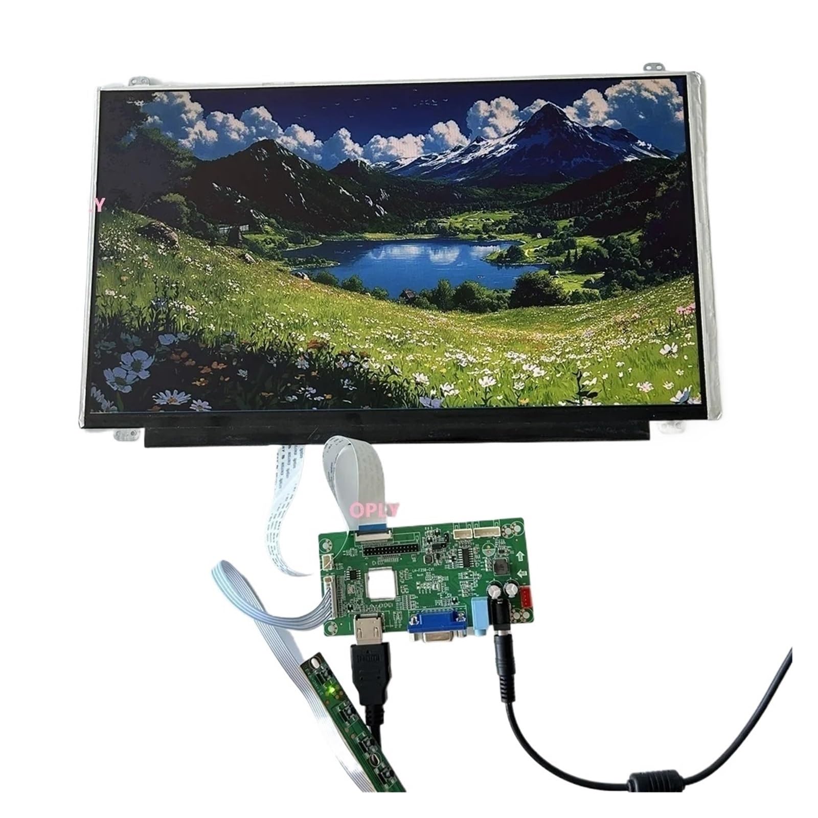 Pannello Monitor IPS EDP Schermo PC PS X360 Lap Raspberry Kit Driver EDP Da 15,6 Pollici | Scheda controller 1920X1080 VGA compatibile con HDMI(Only panel)