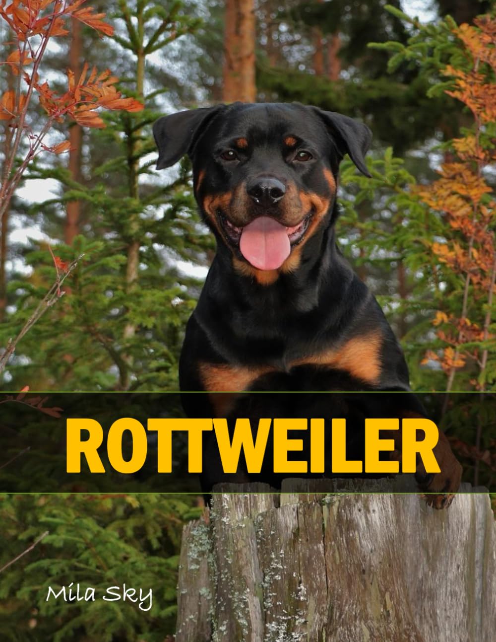 Rottweiler: A Coffee Table Photo Book for Animal Lovers