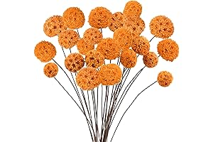 Dried Orange Craspedia Billy Balls Flowers