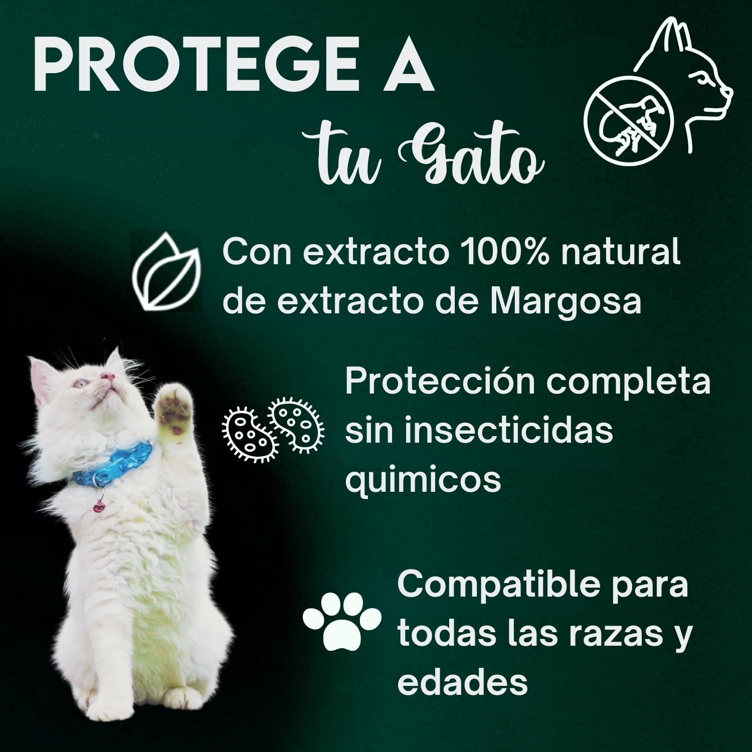 DISANE Collar Antiparasitario para Gatos 100% Natural | 3 Meses de Protección Contra Insectos y Parásitos: Repelente de Pulgas, Garrapatas y Mosquitos | Collar Antipulgas Gato Adulto y Cachorro