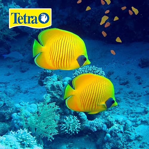 Miniatura 5 de Tetra Copos tropicales grandes de 16155 minutos para comederos superioresmedios 565 onzas