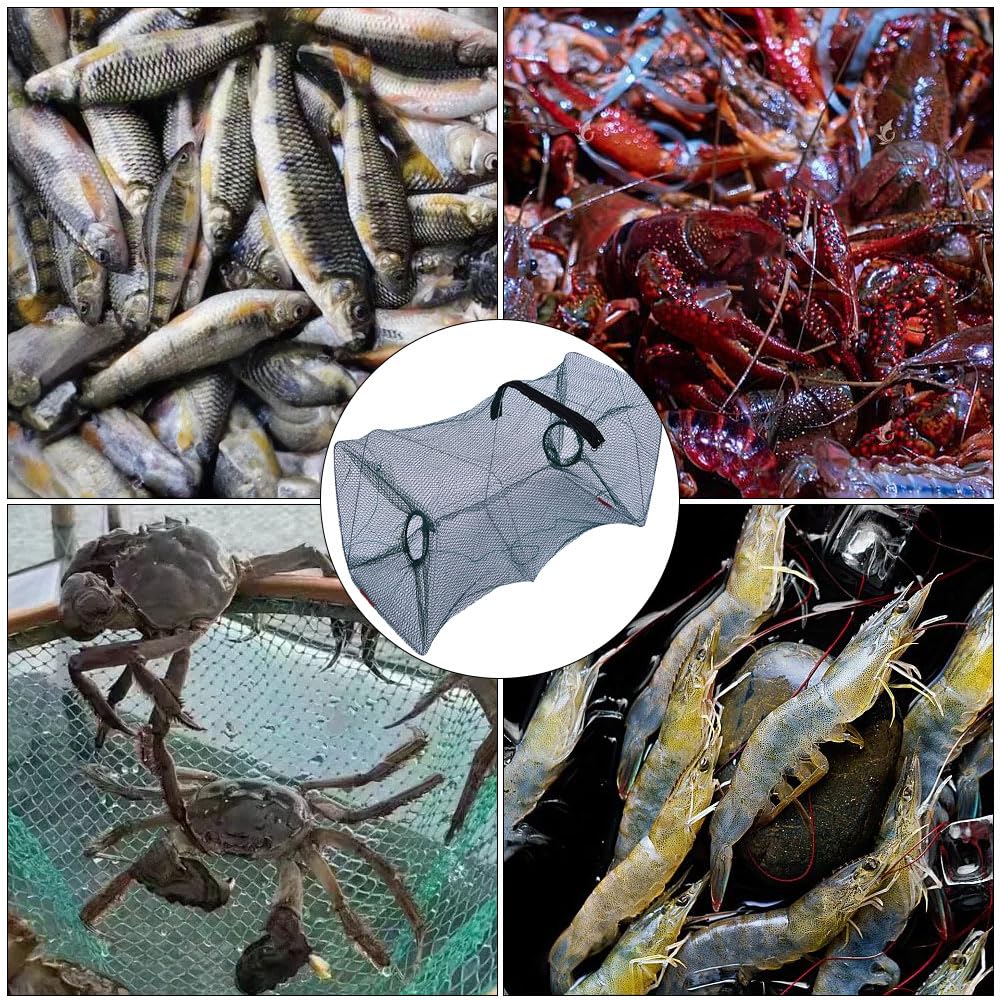 Nasse a Poisson, 50 x 20cm Filet Peche, Pliable Nasse a Ecrevisse, Fish Trap pour Crevettes Écrevisses Homards Anguilles
